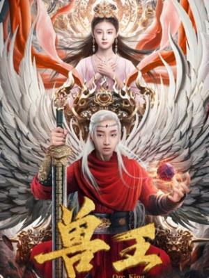 影视作品